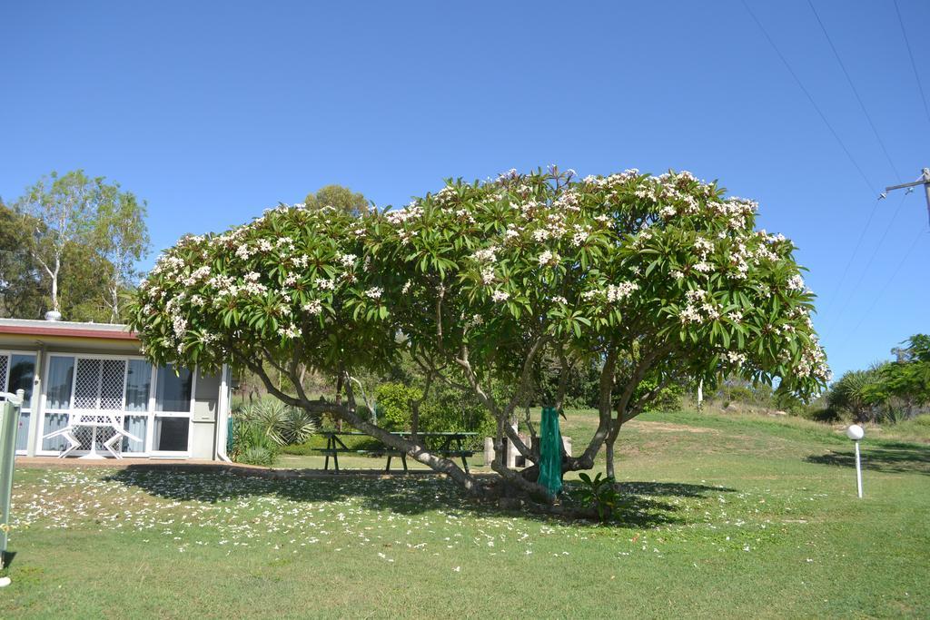 Ocean View Motel Bowen Zewnętrze zdjęcie