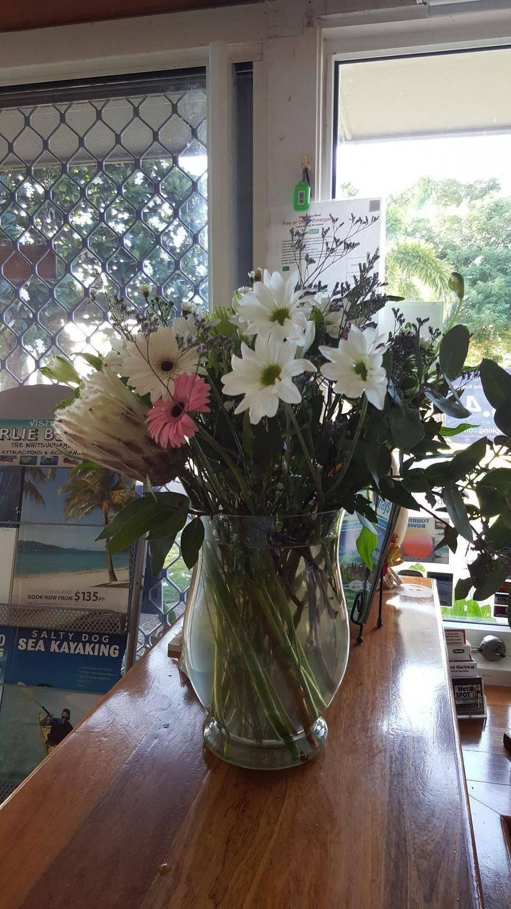 Ocean View Motel Bowen Zewnętrze zdjęcie